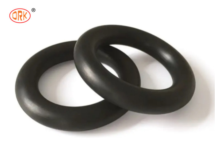 Corrosion Resistant Fkm O Ring